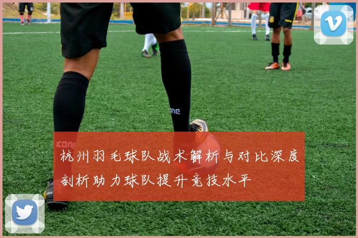 杭州羽毛球队战术解析与对比深度剖析助力球队提升竞技水平