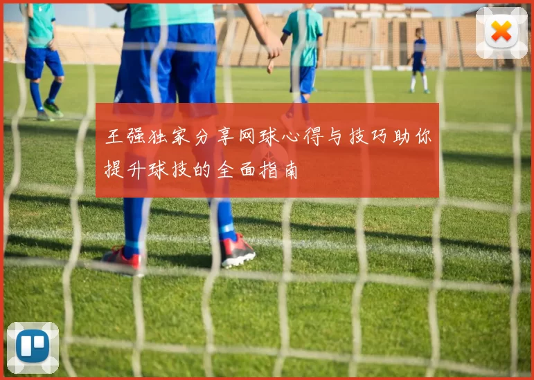 王强独家分享网球心得与技巧助你提升球技的全面指南