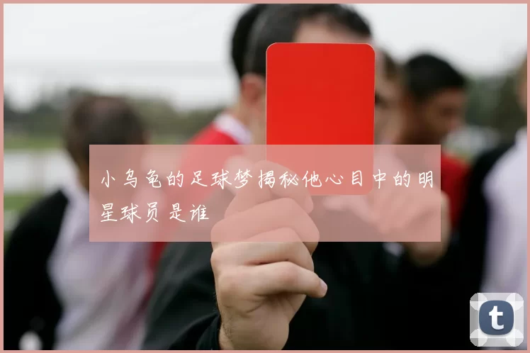 小乌龟的足球梦揭秘他心目中的明星球员是谁