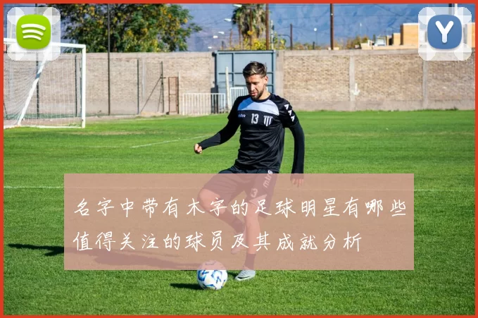 名字中带有木字的足球明星有哪些值得关注的球员及其成就分析