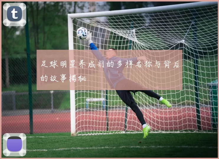足球明星养成剂的多样名称与背后的故事揭秘