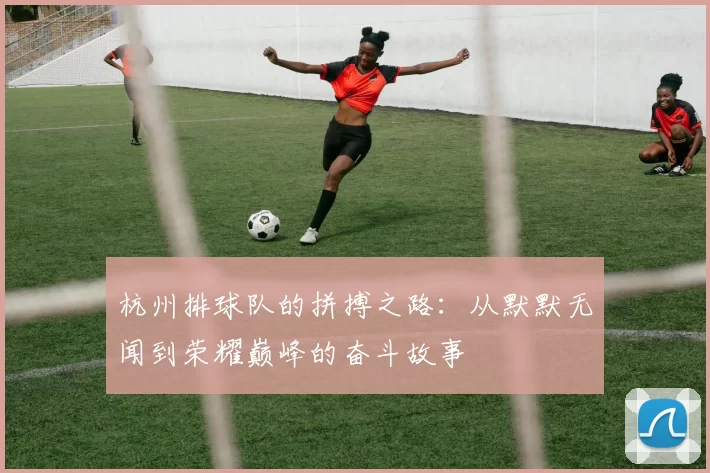 杭州排球队的拼搏之路：从默默无闻到荣耀巅峰的奋斗故事