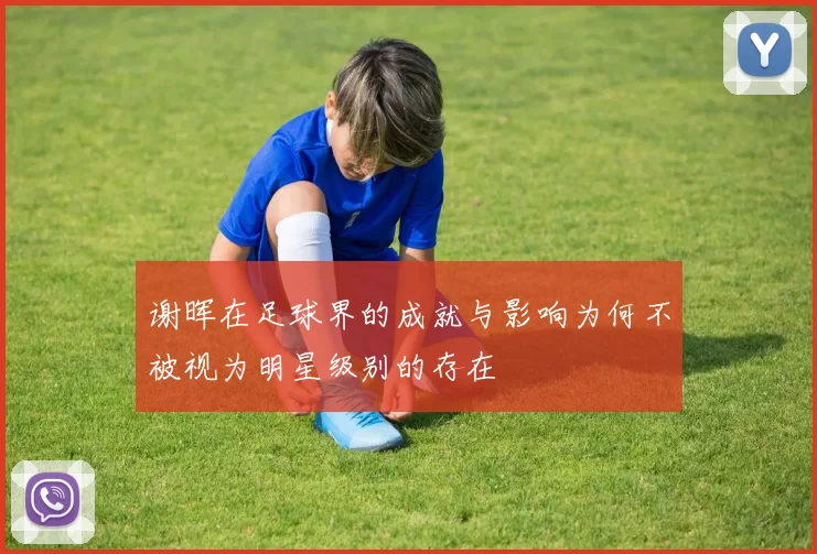 谢晖在足球界的成就与影响为何不被视为明星级别的存在