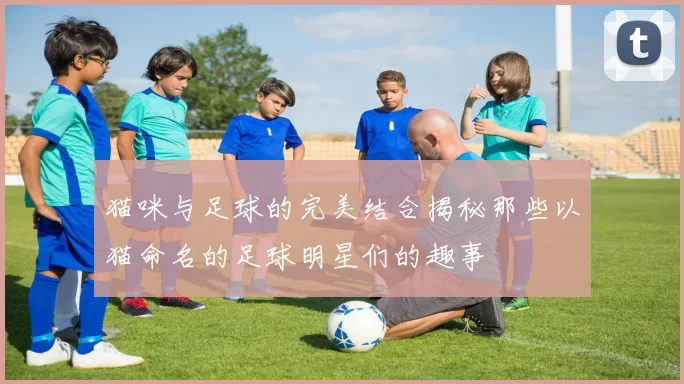 猫咪与足球的完美结合揭秘那些以猫命名的足球明星们的趣事