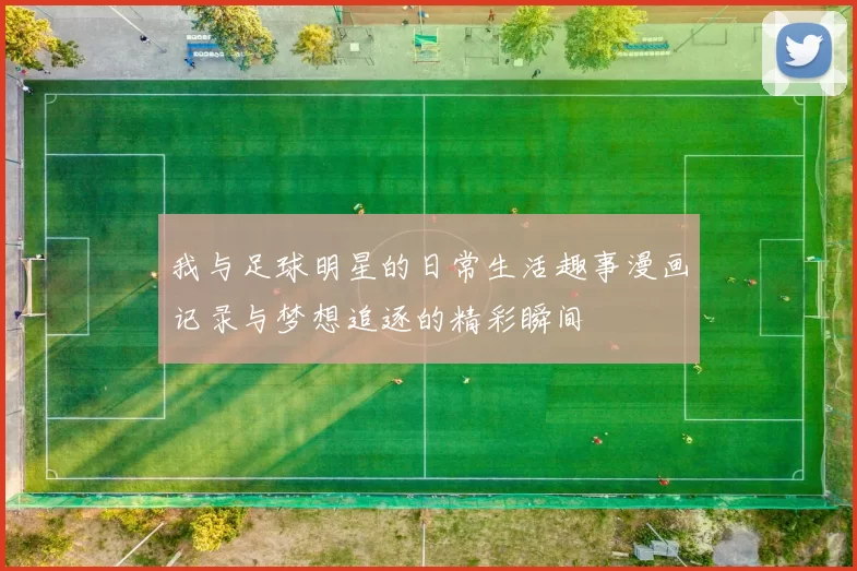 我与足球明星的日常生活趣事漫画记录与梦想追逐的精彩瞬间