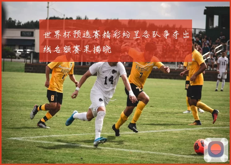 世界杯预选赛精彩纷呈各队争夺出线名额赛果揭晓