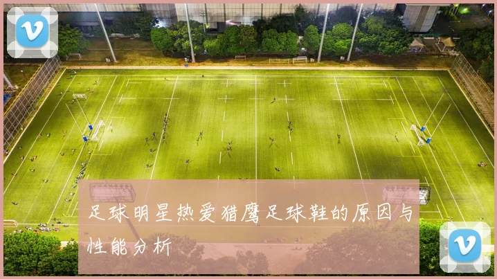 足球明星热爱猎鹰足球鞋的原因与性能分析