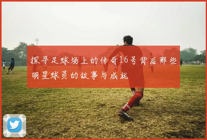 探寻足球场上的传奇16号背后那些明星球员的故事与成就